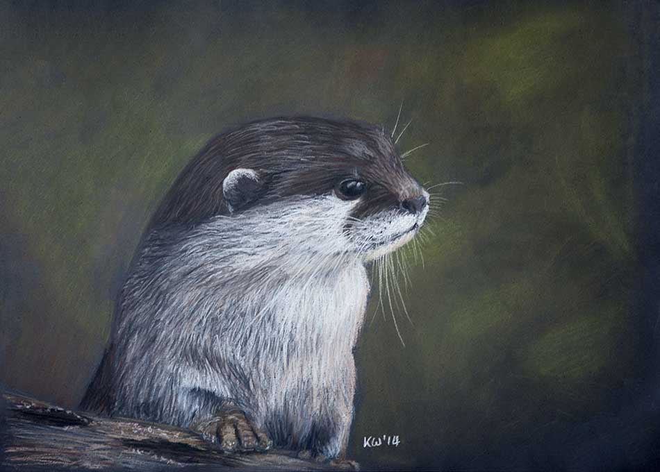 Otter