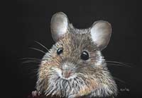 Woodmouse